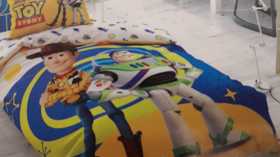 КПБ 1.5 сп Toy story 4 ранфорс