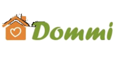 Логотип Салон мебели «Dommi»