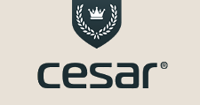Логотип Изготовление мебели на заказ «Cesar»