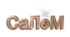 Логотип Мебельная фабрика «Салем»