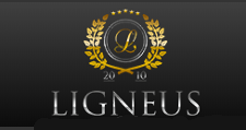 Логотип Изготовление мебели на заказ «LIGNEUS»