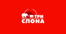 Логотип Салон мебели «Три слона»