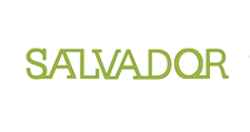 Логотип Салон мебели «Сальвадор»