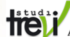 Логотип Салон мебели «Trevi Studio»