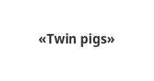 Логотип Салон мебели «Twin pigs»