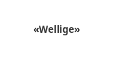 Логотип Салон мебели «Wellige»