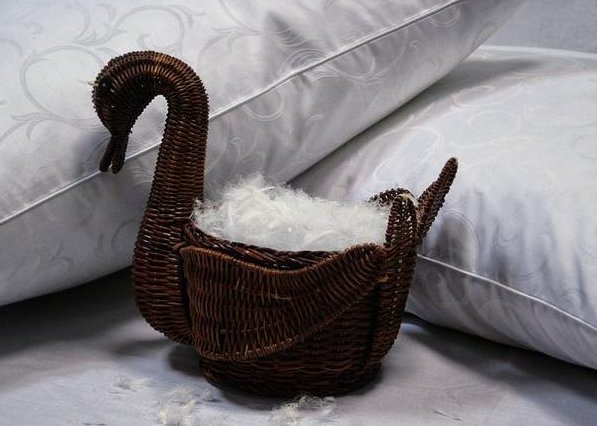 Как почистить и постирать перьевые подушки
