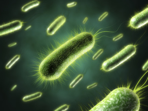 Что это такое анаэробные бактерии и анаэробные инфекции