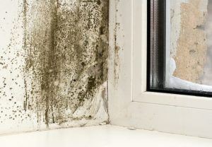 Что делать, если потеют окна на балконе