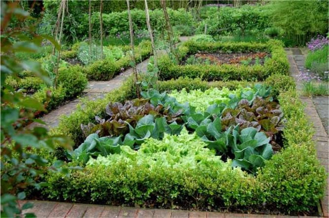 Декоративные клумбы: идеи посадки зелени в огороде (44 фото)