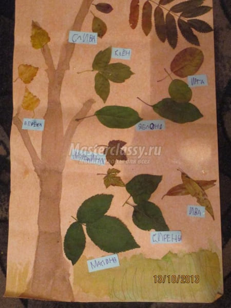 Гербарий из листьев своими руками для детского сада и в школу с фото
