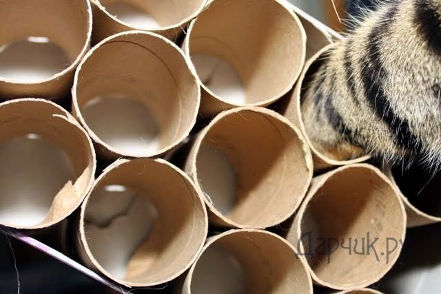 Игрушки для кошек своими руками из картона: как сделать с фото и видео