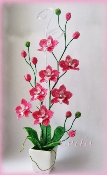 Орхидеи из бисера: схемы плетения для начинающих с фото и видео
