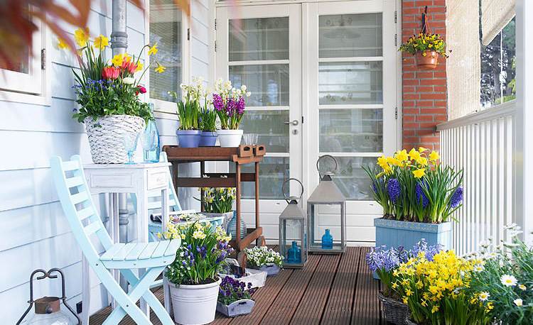 Цветы на балконе: как вырастить цветущий сад